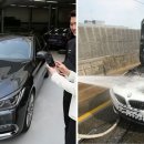 펫부자
