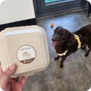 꼬물이공방 이미지