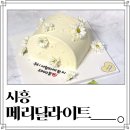 메리딜라이트 | 시흥 레터링 생화케이크 주문 제작 메리딜라이트 내돈내산 후기