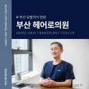 부산 모발이식 후기 직후부터 최종 1년까지 꿀팁