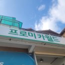 안전카센타 | [양양 일상] 프로미카월드 양양점 목마카센타 | 아침 일찍 발생한 차량 펑크 엔진 시동 꺼짐 현상도...