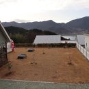 리틀미까사 이미지