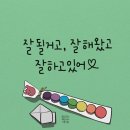 일광사진관 - 창원시 의창구 도계로 58 | 일광사진관