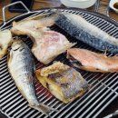 모녀가리비 이미지