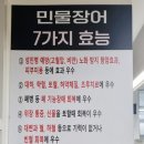 황제장어나라 이미지