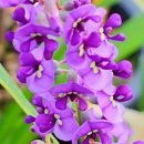 싸리하우스 이미지