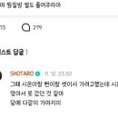 담시온 이미지