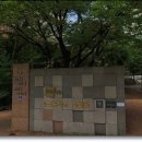 힐메디텍 네이버블로그