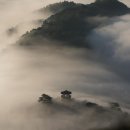 추사민화동아리 | 한국사 심화 정리 - 18