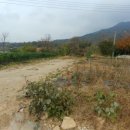 스카이랜드부동산중개법인 이미지