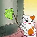 디테일러 이미지
