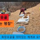 강산장묘 - 중구 도화골4길 2 | 강산장묘