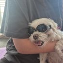 정메디칼 이미지