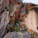 강동-천호-1146 이미지