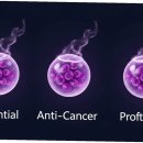 달래약국 이미지