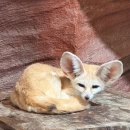 에이.비.지 | [파주] 실내 동물원, 테이블에이 파주점