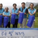 섬사랑 이미지