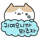 댕댕이 홀딱 반한 간식 이미지