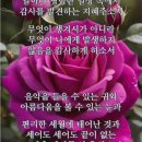 두부 장수 노부부 이미지