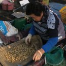 마옥농장 이미지