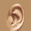 성신수기원 이미지