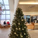 경산대추옹골빵 | 대구 경산 대형 카페 더웨이투커피 멋스러운 건물에 베이커리 맛집 브런치도 가능해요