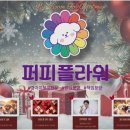 강아지분양 애견분양 퍼피플라워 중랑점 이미지