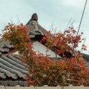 스테이 월화 이미지