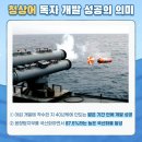 청상어 이미지