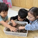 알록달록 도토리 반지 💍/모루로 만든 가을꽃💐 이미지