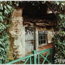 연세엔서울치과교정과치과의원 이미지