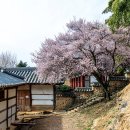 밀양향교 이미지