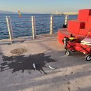 항만12로 | [포항 영일대 신항만] 낚시포인트 그냥낚시, 배낚시 후기 낚린이 26.02.06 실패성공후기