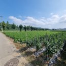 신강남공인중개사사무소 이미지