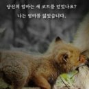 한쌤학원