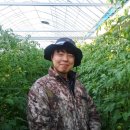 새봄농장(2) 이미지