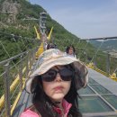 (주)신기카모터스 | 원주 소금산 그랜드밸리 혼행 후기 | 케이블카 입장료·물 준비 꿀팁