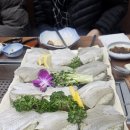 문어와 회나라