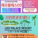 메이저리그당구장 이미지