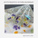 다래농원 - 밀양시 송정1길 100-13 | 파주 아이랑 갈만한곳 꽃재체험농원 1편 : 이색체험 예약 방법