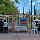 일원상회 이미지