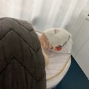 루루비