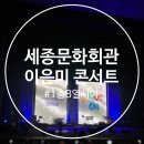 가수 이은미 콘서트 | 이은미 라이브투어 콘서트 후기 세종문화회관1층 B열 159번 시야