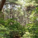 대전리 백계당 이미지