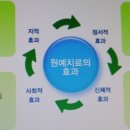 한아름원예치료 이미지