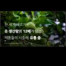 도테라에센셜오일은 순도100%로 일관성을 가집니다