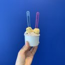 할타보카 이미지