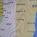 해면 이미지