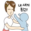 셈틀아이