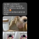 쁘띠그루밍 네이버블로그